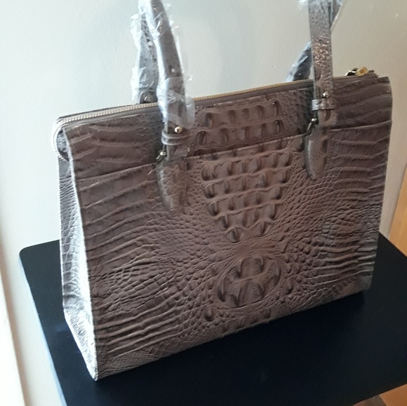 Brahmin - Picture 2 of 2